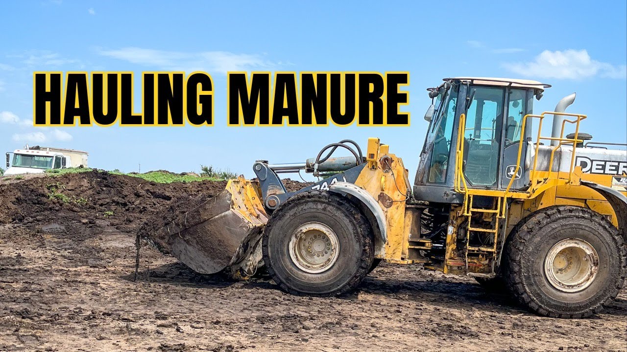 Hauling Cattle Hay And Manure