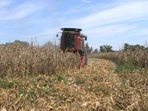 Case IH 2588 Axial-Flow Combine