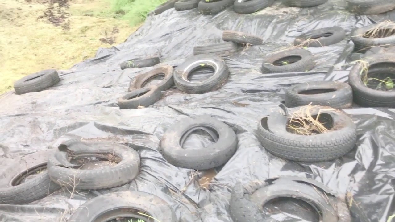 Vlog 5/18: Covering Silage Pile w/ Tires