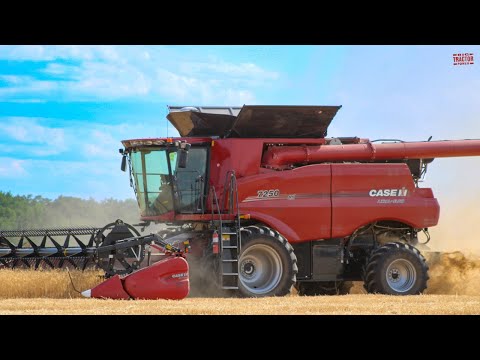 CASE IH 7250 Axial-Flow Combine Harvesting Wheat