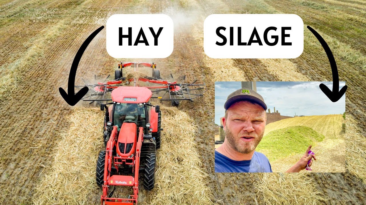 CHOPPING CORN SILAGE | DAY 3 | Did We Get A New Chopper?